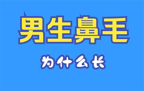 鼻頭長毛|为什么鼻子会长毛